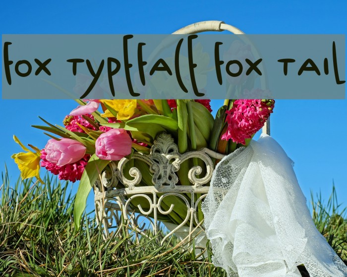 Fox Typeface Fox Tail Font examples