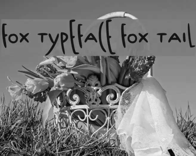 Fox Typeface Fox Tail Polices examples