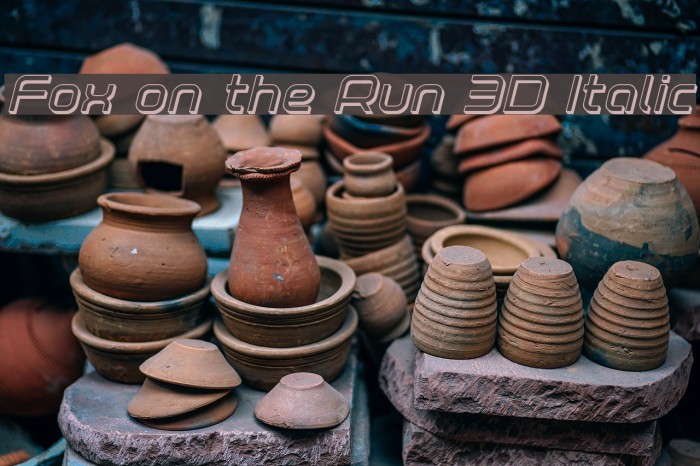 Fox on the Run 3D Italic Example 2