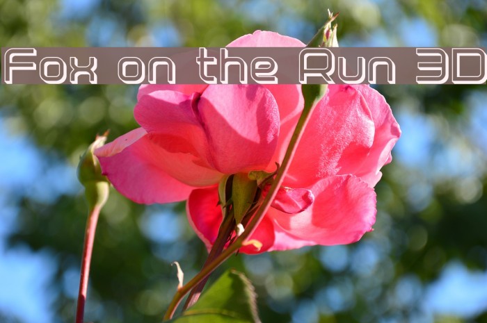 Fox on the Run 3D Font examples