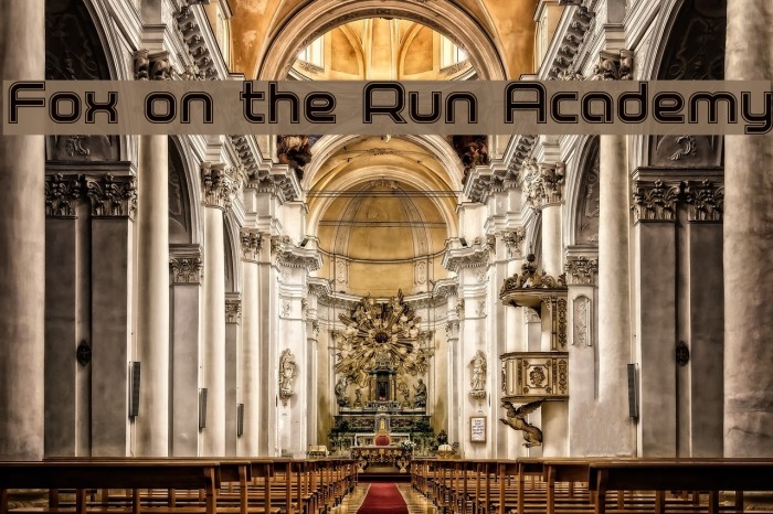 Fox on the Run Academy Example 1