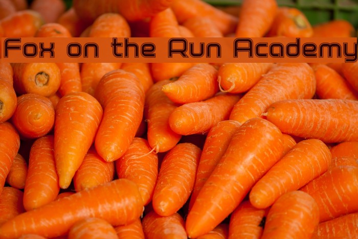 Fox on the Run Academy Example 2