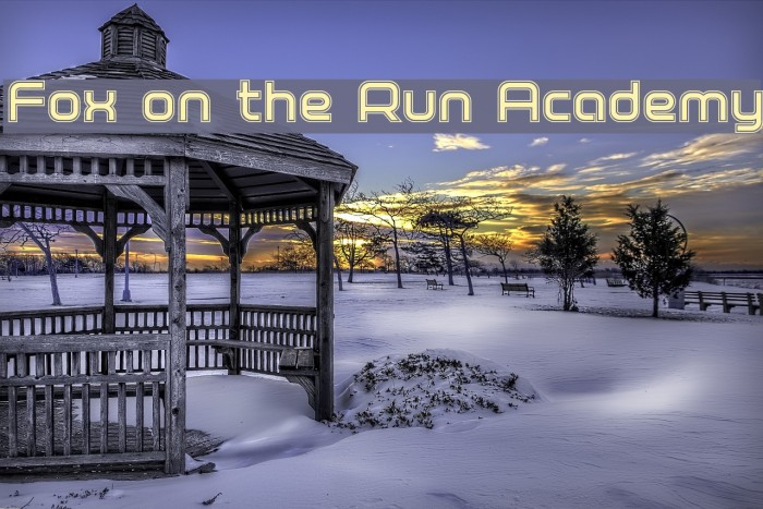 Fox on the Run Academy Example 3