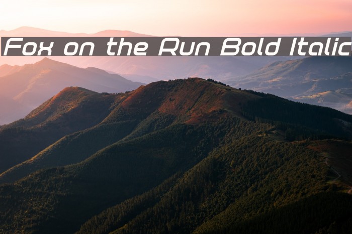 Fox on the Run Bold Italic Font examples