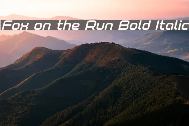 Fox on the Run Bold Italic Example 2