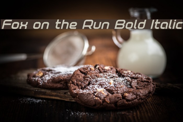 Fox on the Run Bold Italic Font examples