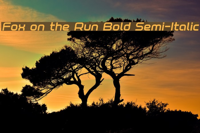 Fox on the Run Bold Semi-Italic Font examples