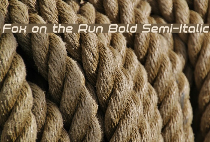 Fox on the Run Bold Semi-Italic Font examples