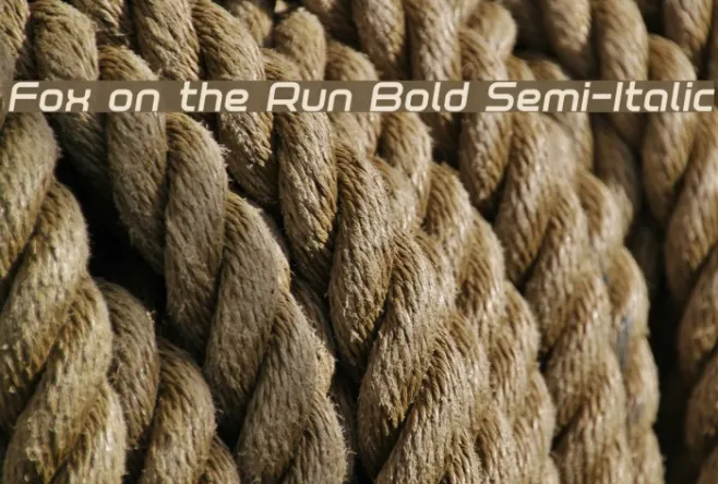 Fox on the Run Bold Semi-Italic Example 3