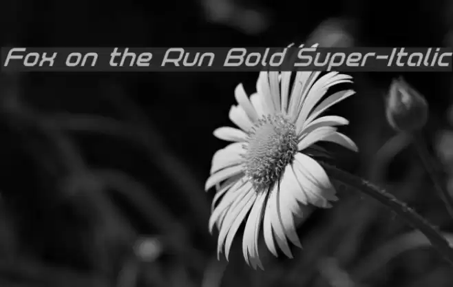 Fox on the Run Bold Super-Italic Font examples