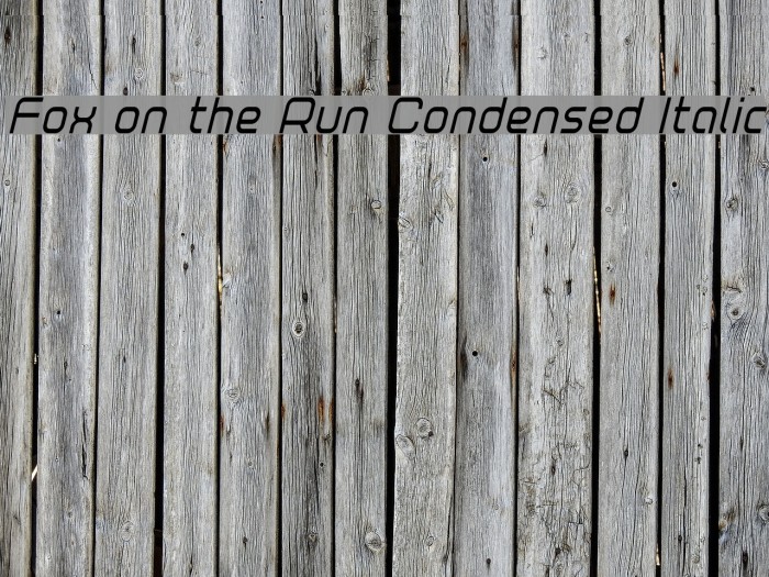 Fox on the Run Condensed Italic Example 3
