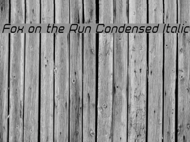 Fox on the Run Condensed Italic Font examples