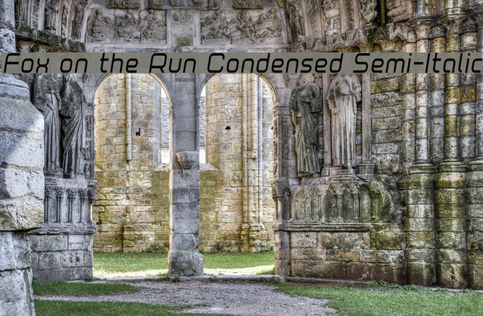 Fox on the Run Condensed Semi-Italic Font examples