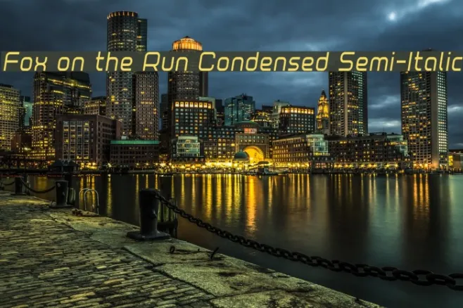 Fox on the Run Condensed Semi-Italic Example 2