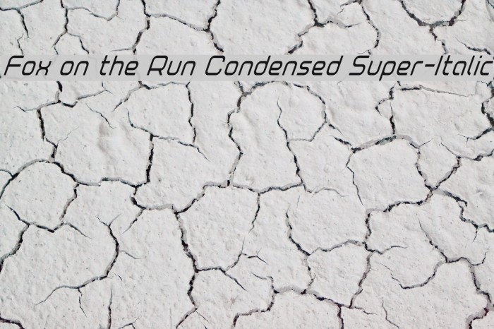 Fox on the Run Condensed Super-Italic Example 1