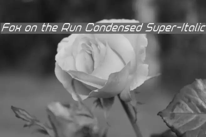 Fox on the Run Condensed Super-Italic Font examples