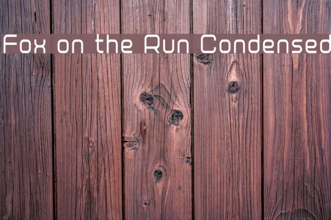 Fox on the Run Condensed Example 1