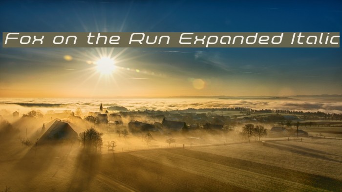 Fox on the Run Expanded Italic Example 1