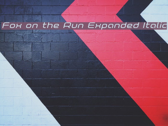 Fox on the Run Expanded Italic Example 2