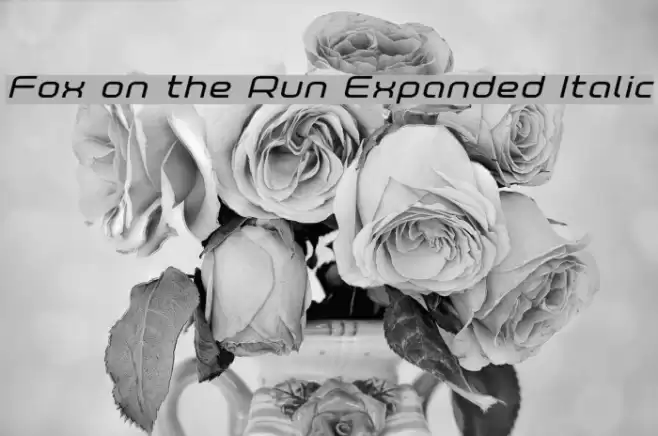 Fox on the Run Expanded Italic Font examples