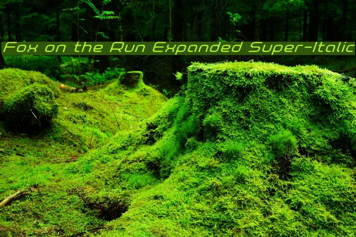 Fox on the Run Expanded Super-Italic Font examples