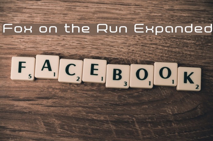 Fox on the Run Expanded Example 1