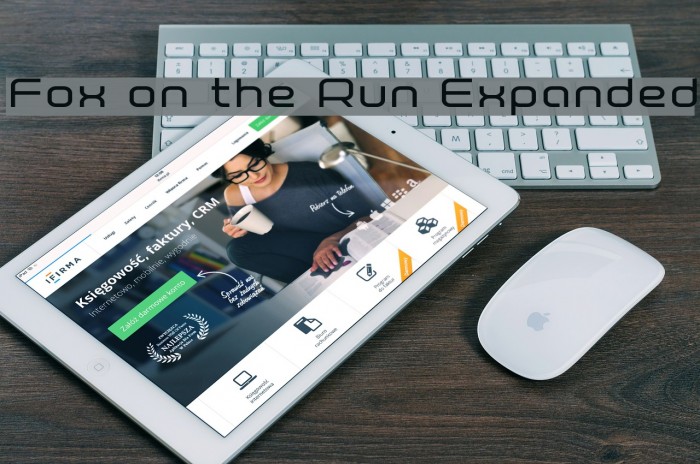 Fox on the Run Expanded Example 2