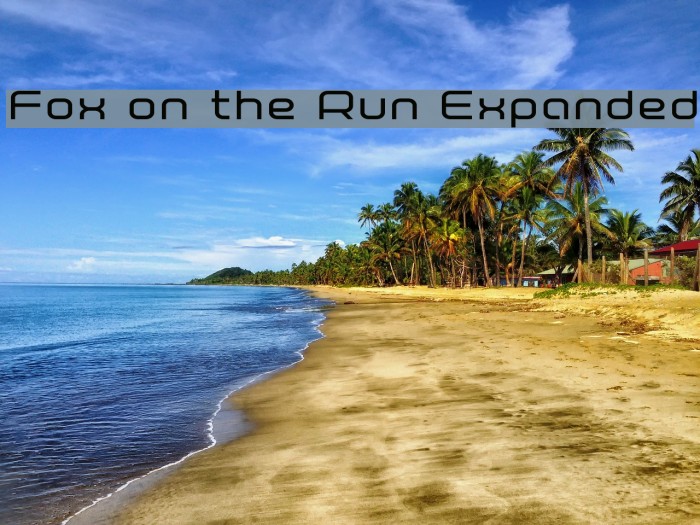 Fox on the Run Expanded Example 3