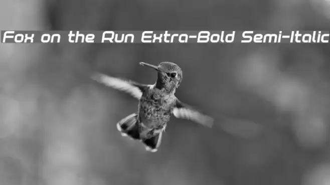 Fox on the Run Extra-Bold Semi-Italic Font examples