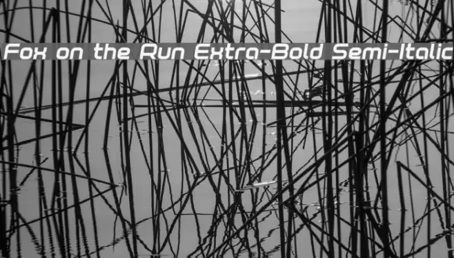 Fox on the Run Extra-Bold Semi-Italic Font examples