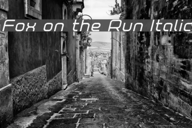 Fox on the Run Italic Font examples