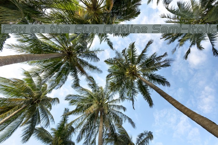 Fox on the Run Outline Semi-Italic Example 1