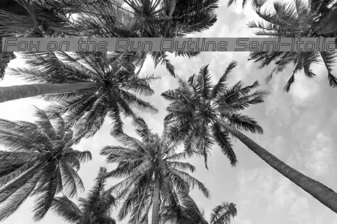 Fox on the Run Outline Semi-Italic Font examples