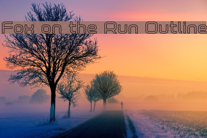 Fox on the Run Outline Example 1