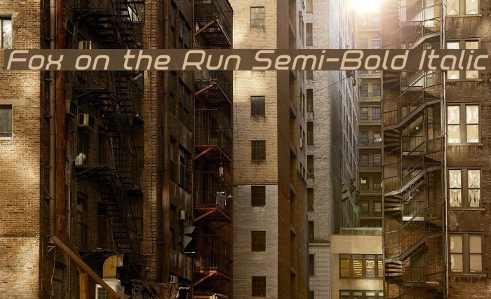 Fox on the Run Semi-Bold Italic Example 1