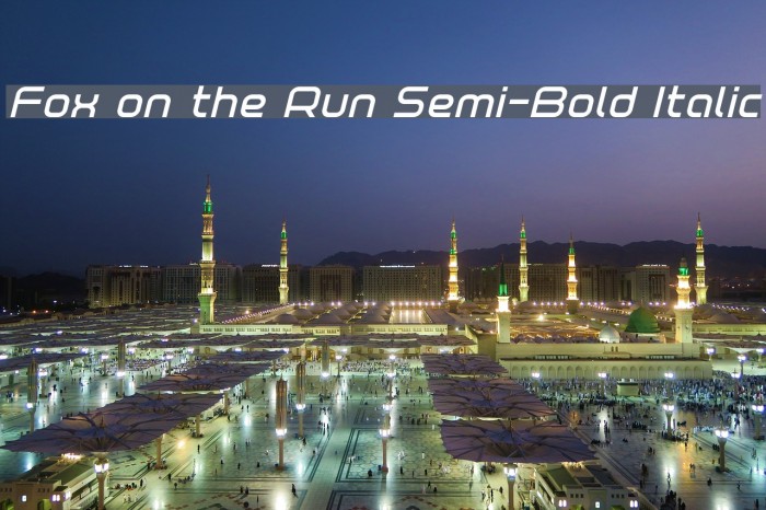 Fox on the Run Semi-Bold Italic Example 2