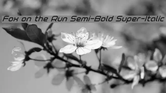 Fox on the Run Semi-Bold Super-Italic Font examples