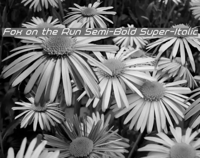 Fox on the Run Semi-Bold Super-Italic Font examples