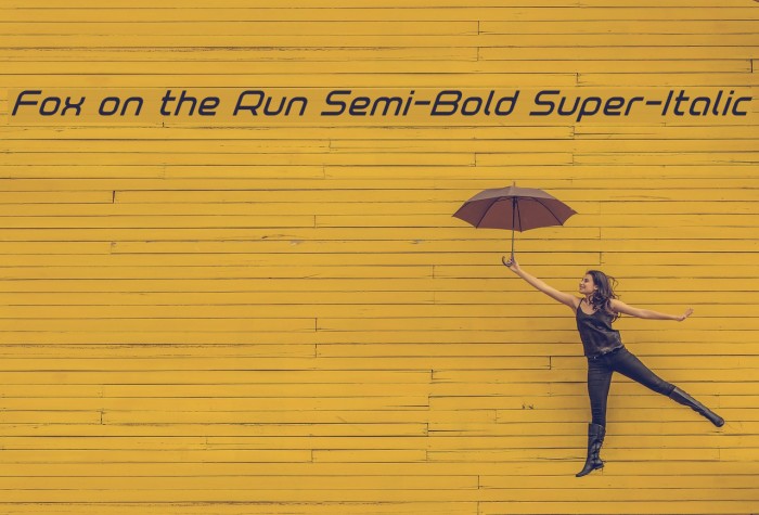 Fox on the Run Semi-Bold Super-Italic Example 3