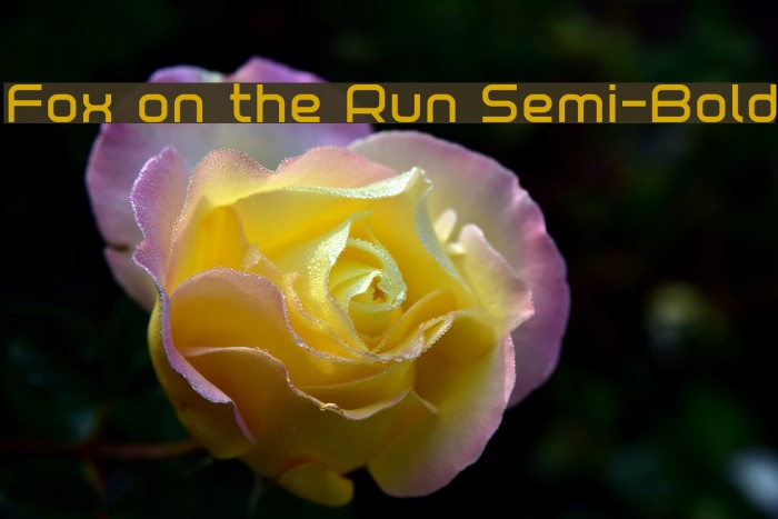 Fox on the Run Semi-Bold Font examples