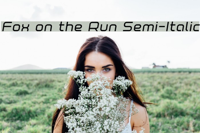 Fox on the Run Semi-Italic Font examples