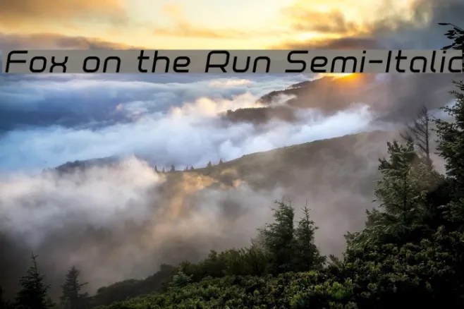 Fox on the Run Semi-Italic Example 2