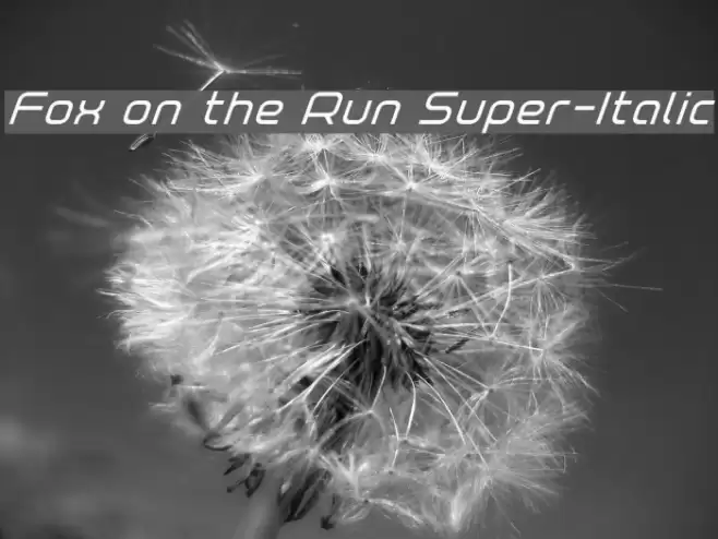 Fox on the Run Super-Italic Font examples