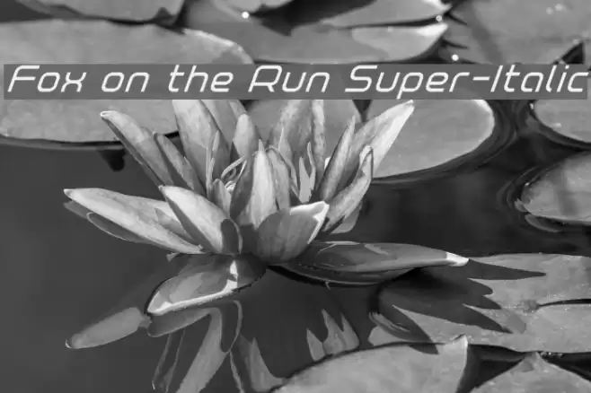 Fox on the Run Super-Italic Font examples