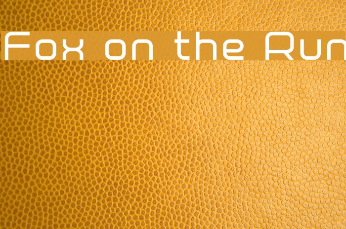 Fox on the Run Font examples