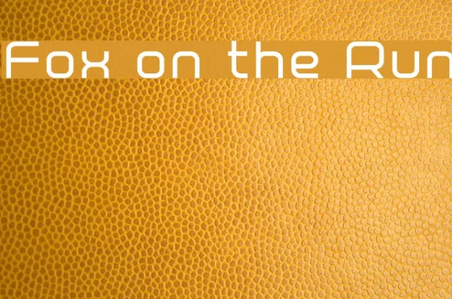 Fox on the Run Example 3