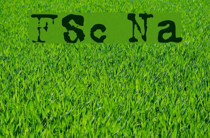 FoxScript Normal Font examples