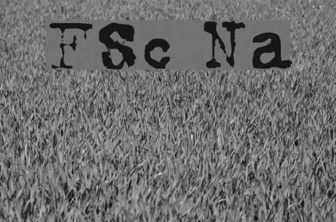 FoxScript Normal Font examples