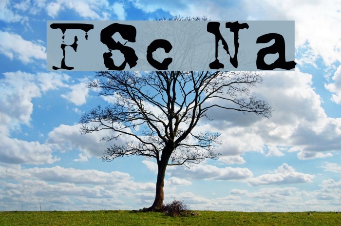 FoxScript Normal Font examples