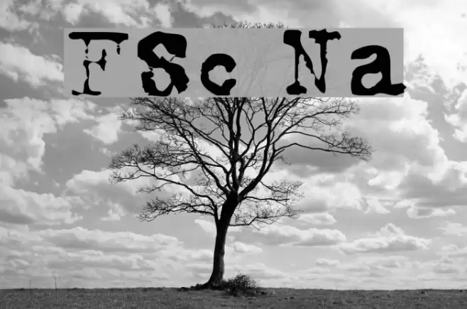 FoxScript Normal Font examples